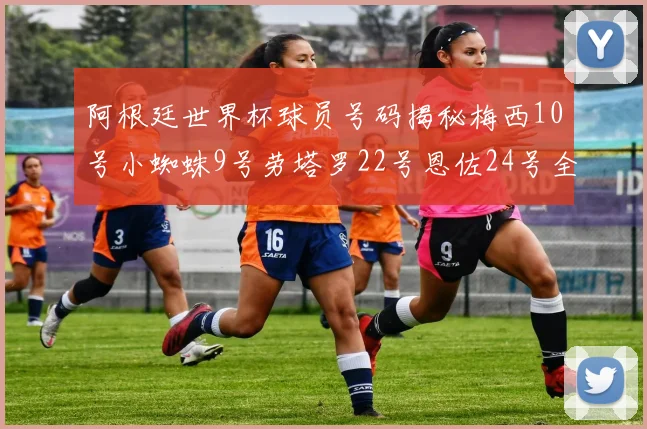 阿根廷世界杯球员号码揭秘梅西10号小蜘蛛9号劳塔罗22号恩佐24号全解析