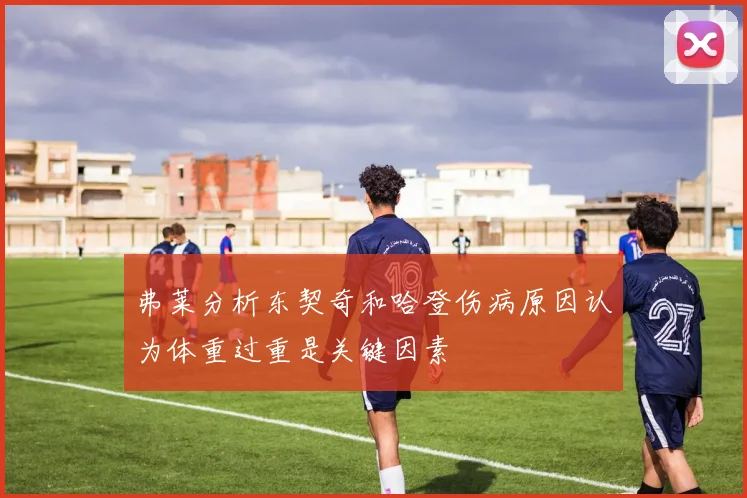 弗莱分析东契奇和哈登伤病原因认为体重过重是关键因素