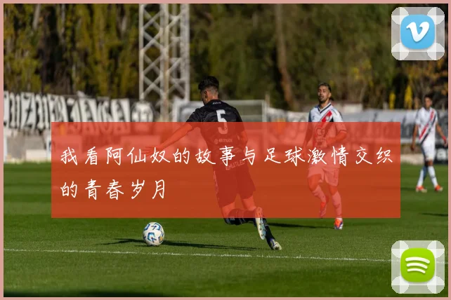 我看阿仙奴的故事与足球激情交织的青春岁月